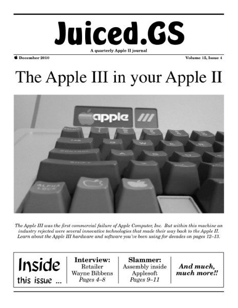 Volume 15, Issue 4 (December 2010)