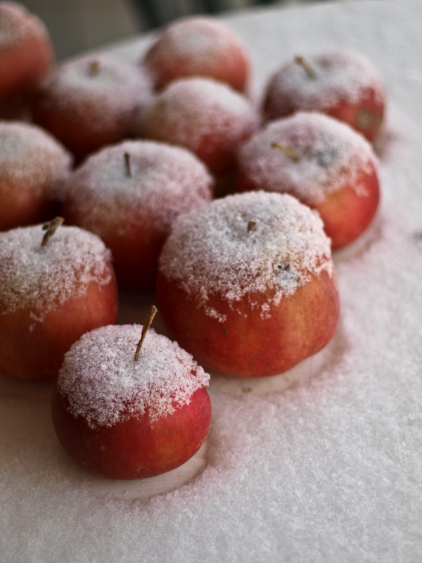 Frozen apples by Luminitsa